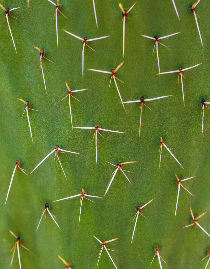 Allez si on s’y met tous ensemble, on peut y arriver aussi ! (3)