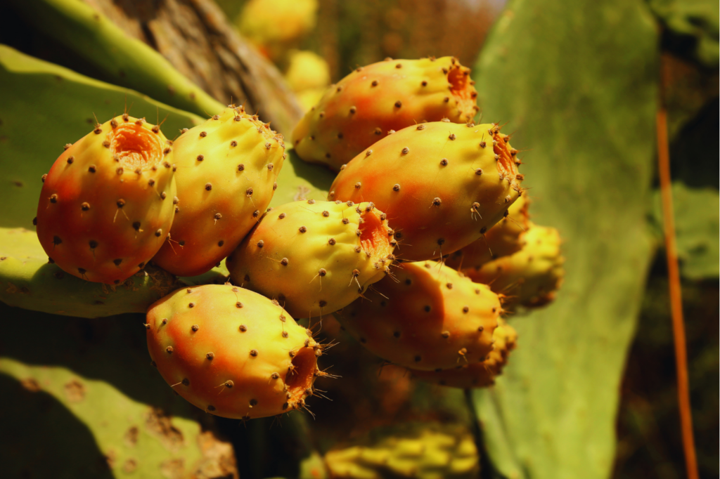 Allez si on s’y met tous ensemble, on peut y arriver aussi ! (5)