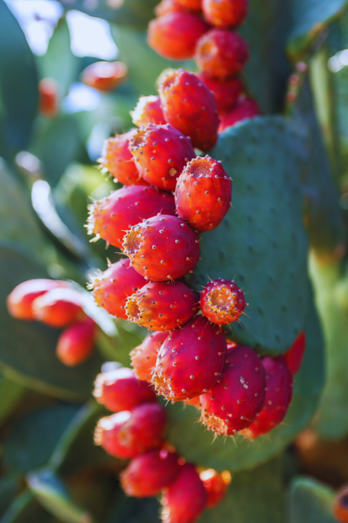 Allez si on s’y met tous ensemble, on peut y arriver aussi ! (7)