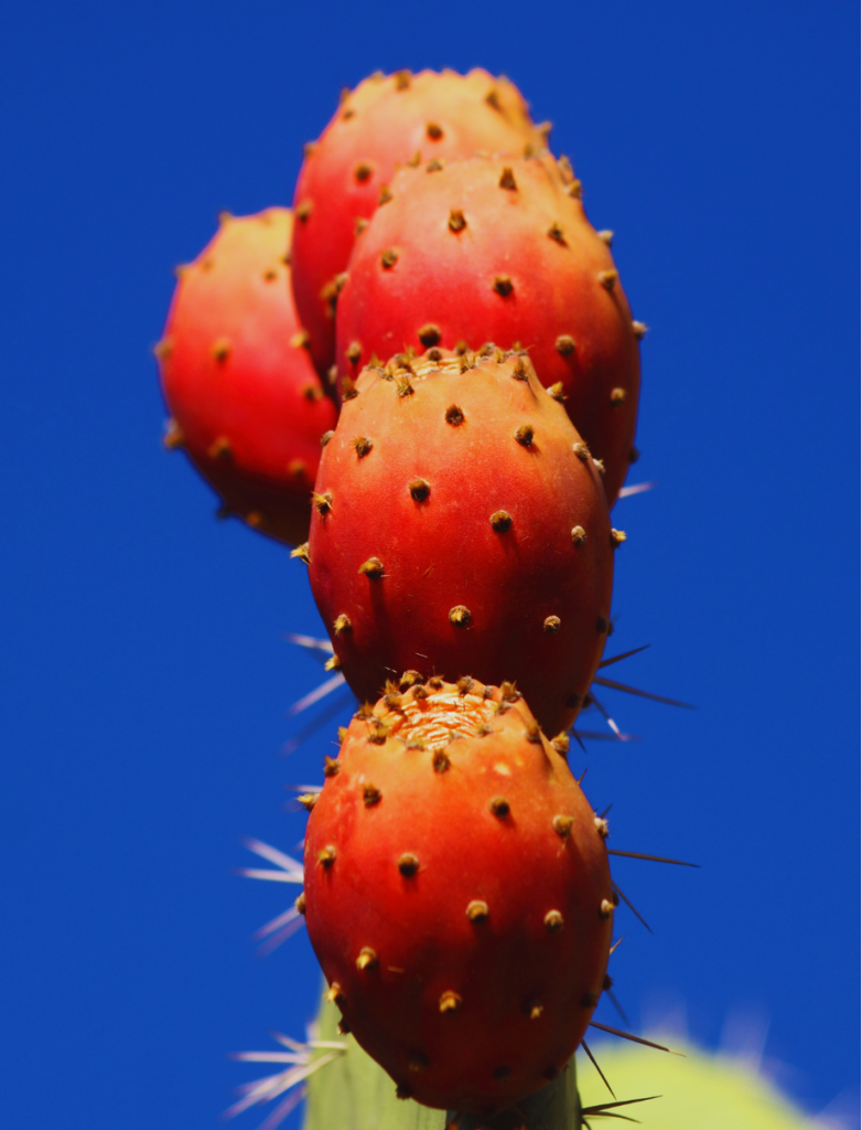 Ca va être long si on n’arrive pas à se parler (4)