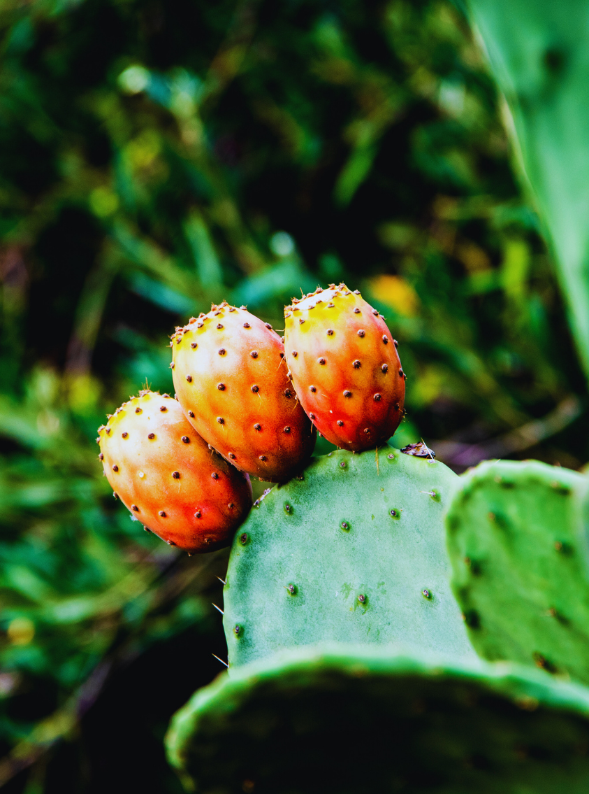 Design sans titre (28)