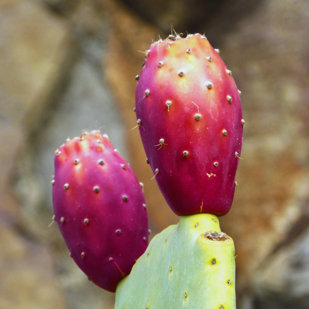 Design sans titre (9)